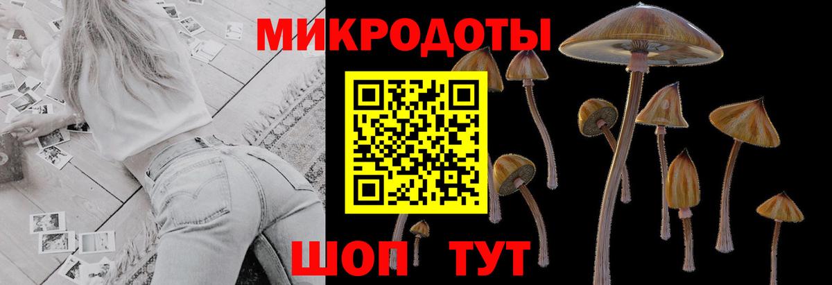 Галлюциногенные грибы мицелий Ялта
